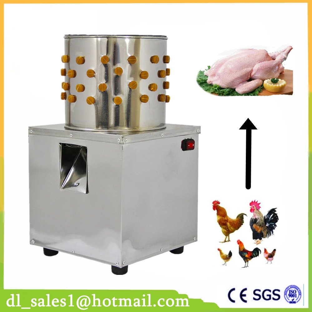 gà đá tiền lớn,Giới thiệu chi tiết về Ga Đá Tiền Lớn gà đá tiền lớn,Giới thiệu chi tiết về Ga Đá Tiền Lớn