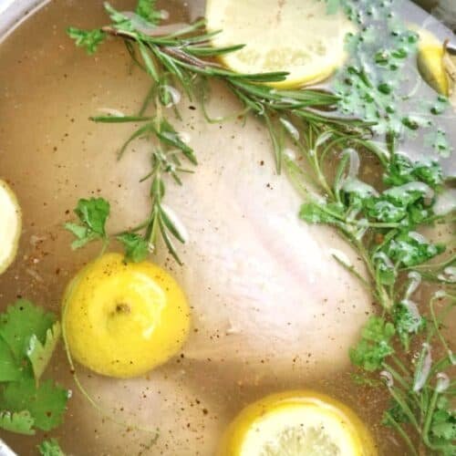 chó tốt gà tre đá hóc môn,Chó tốt gà tre đá – Hóc môn Thứ hai: Giới thiệu chi tiết chó tốt gà tre đá hóc môn,Chó tốt gà tre đá – Hóc môn Thứ hai: Giới thiệu chi tiết