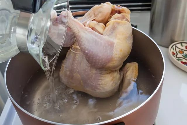 gà nòi già còn đá được không gà nòi già còn đá được không