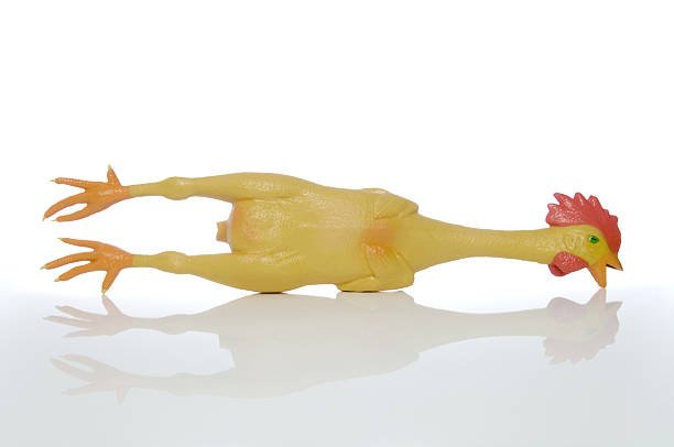 đá gà ăn ền đá gà ăn ền