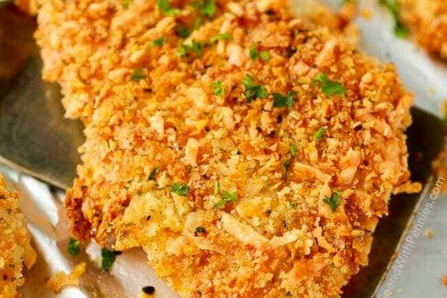 xem mồng gà đá cựa sắt,Giới Thiệu Chi Tiết Độ C Xem Mồng Gà Đá Cựa Sắt