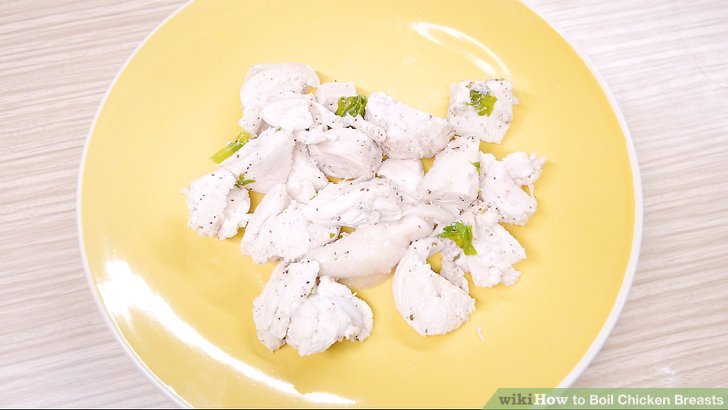 gà đá bỏ ăn gà đá bỏ ăn