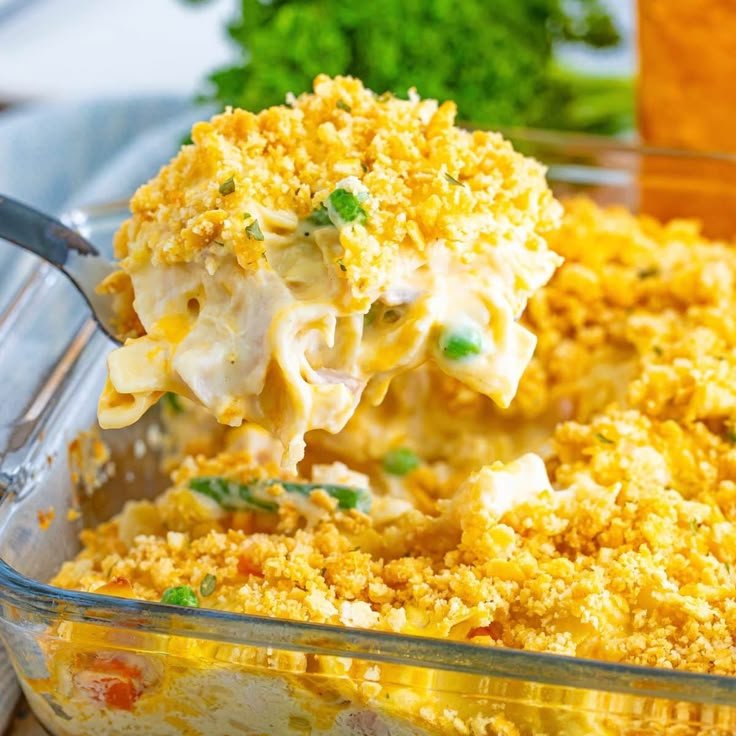kích thước chuồng gà tre đá kích thước chuồng gà tre đá