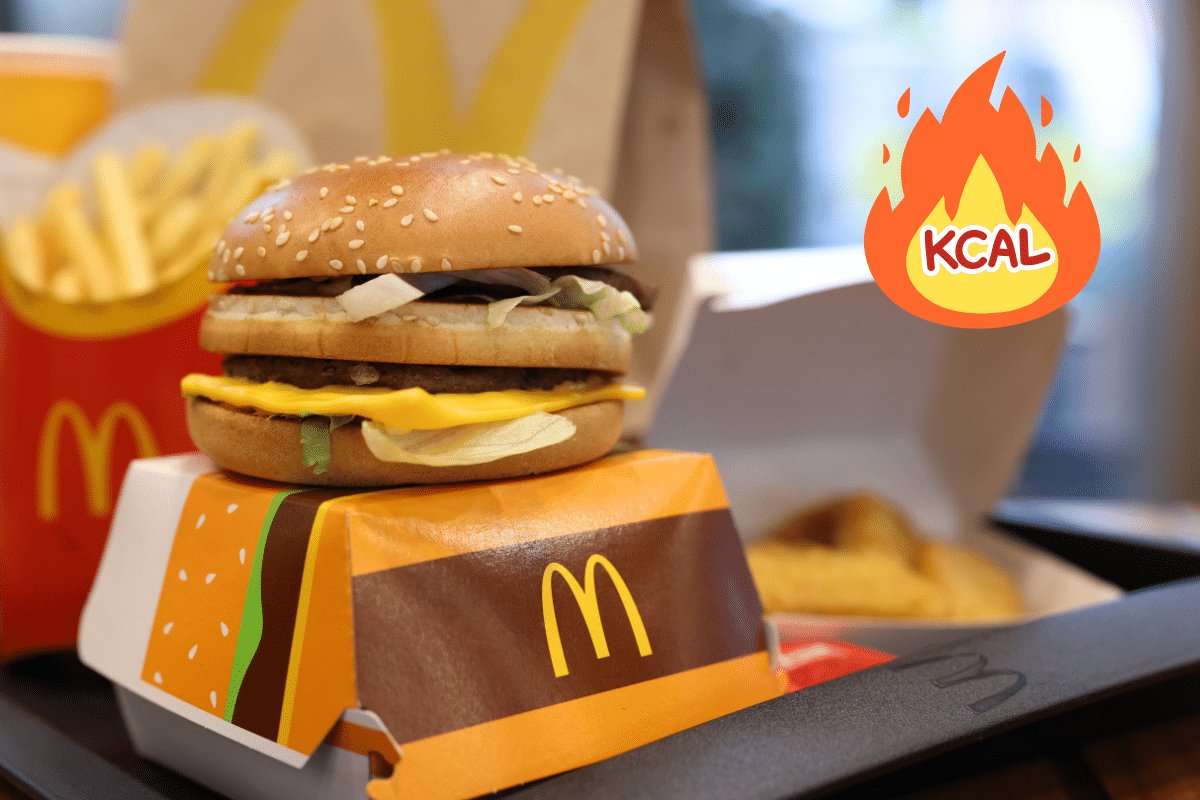 nữ kê tác quái gà mái đá gà cồ,Nữ kê tác quái gà mái đá gà cồ: Đặc điểm và kỹ năng của những chiến binh trên sàn đấu nữ kê tác quái gà mái đá gà cồ,Nữ kê tác quái gà mái đá gà cồ: Đặc điểm và kỹ năng của những chiến binh trên sàn đấu