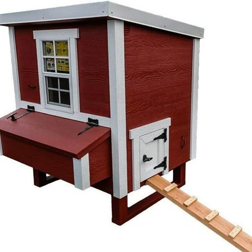Khám Phá Sự Hấp Dẫn Của Đá Gà Xuân 2019 Tại Việt Nam
